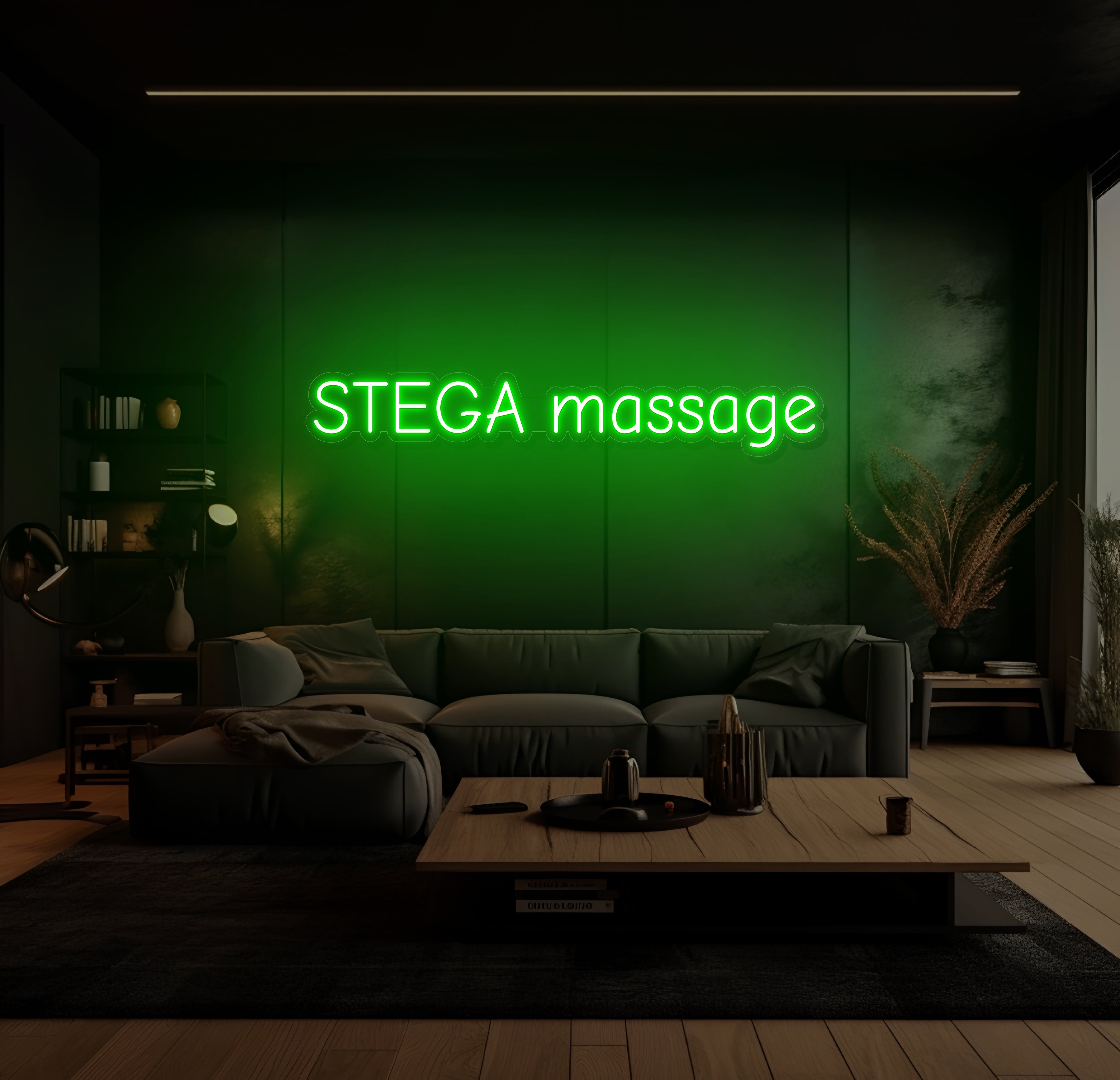 STEGA